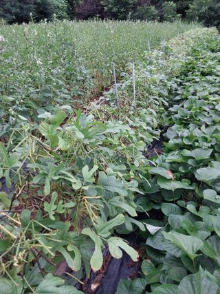 정금천님의 자유주제 · 자유게시판 작성글 사진