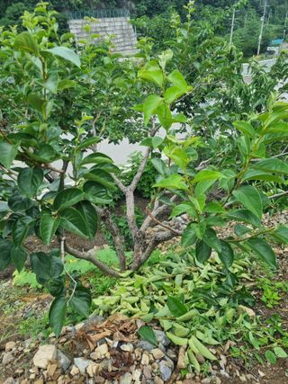 김용대님의 자유주제 · 자유게시판 작성글 사진