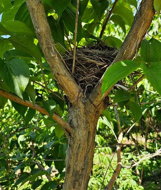 ogapiall님의 자유주제 · 자유게시판 작성글 사진