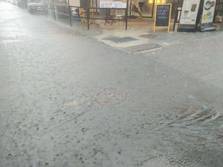 이현상님의 🌦 폭우 피해, 농민 분들 괜찮으신가요? 서로 위로의 말 나눠요 🤝 · 참여글 작성글 사진