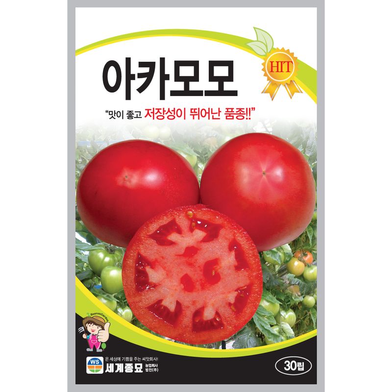 장터 상품 [[세계] 아카모모 토마토 30립 토마토 씨앗] 썸네일