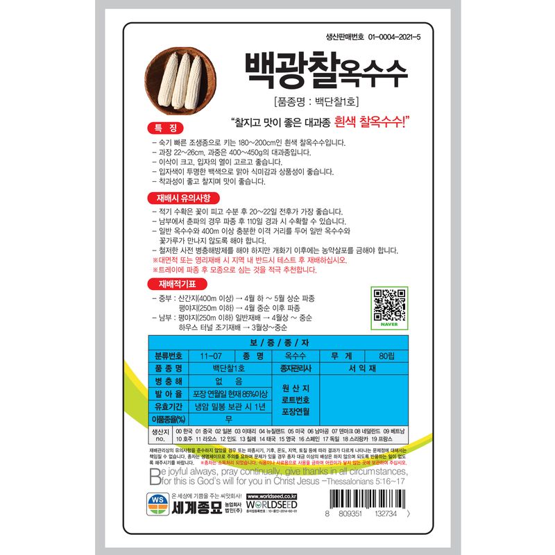 주주씨앗님의 장터 판매 상품 [[세계] 백광찰옥수수 80립 찰옥수수 씨앗] 첨부 사진