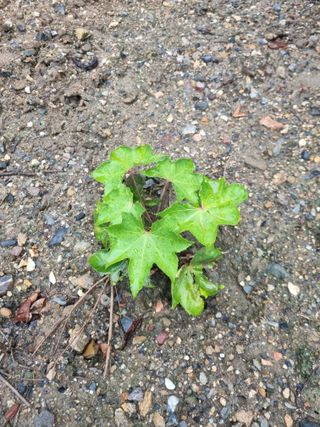 김용대님의 자유주제 · 자유게시판 작성글 사진