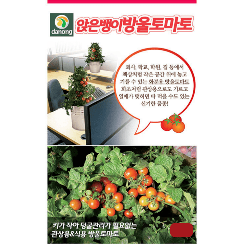 장터 상품 [[다농] 앉은뱅이 방울토마토 50립 / 방울토마토 씨앗] 썸네일