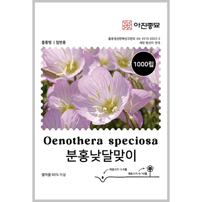 주주씨앗님의 장터 판매 상품 [[아진] 분홍 낮달맞이 1000립 낮달맞이 씨앗] 첨부 사진