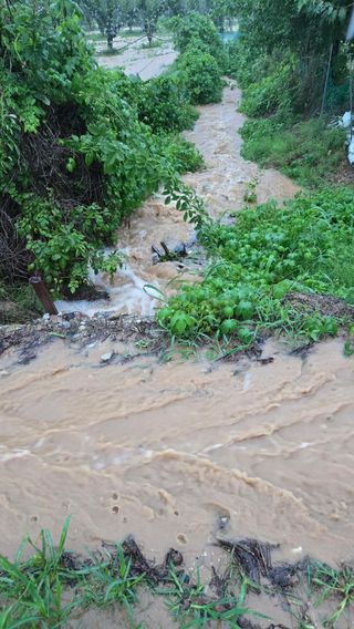 박정희 님의 🌦 폭우 피해, 농민 분들 괜찮으신가요? 서로 위로의 말 나눠요 🤝 · 참여글 작성글 사진
