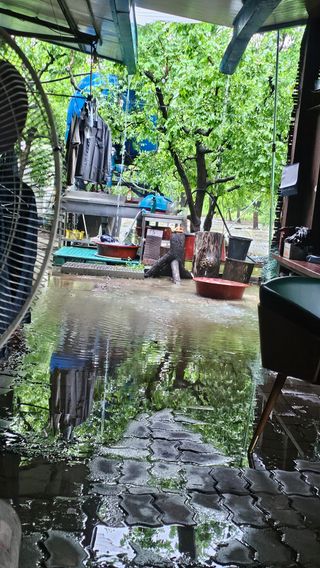 배성은365님의 자유주제 · 자유게시판 작성글 사진