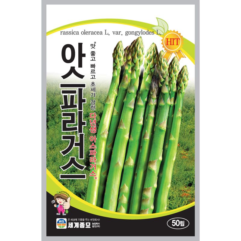 장터 상품 [[세계] 아스파라거스 50립 아스파라거스 씨앗 이색종자] 썸네일