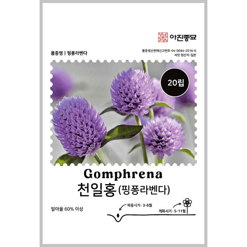 장터 상품 [[아진] 천일홍 핑퐁라벤더 20립 / F1교배종 / 천일홍 씨앗] 썸네일