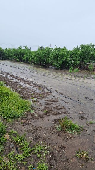배성은365님의 자유주제 · 자유게시판 작성글 사진