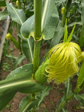 장관덕님의 자유주제 · 자유게시판 작성글 사진