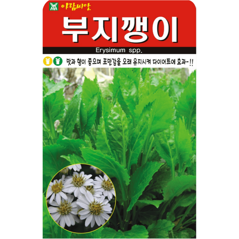 장터 상품 [[아람] 부지깽이 100립 부지깽이 씨앗] 썸네일