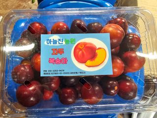 자두농사알프스왕자님의 작성글 사진