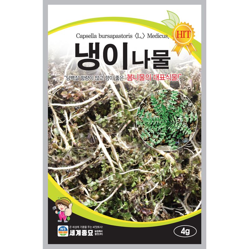 장터 상품 [[세계] 냉이나물 4g 냉이씨앗 민속채소] 썸네일