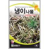 팜모닝 · 게시글 이미지