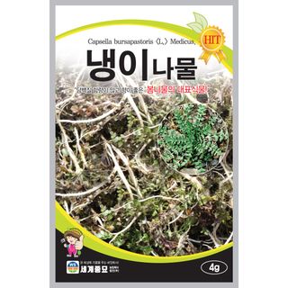 주주씨앗님의 작성글 사진