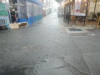 이현상님의 🌦 폭우 피해, 농민 분들 괜찮으신가요? 서로 위로의 말 나눠요 🤝 · 참여글 작성글 사진