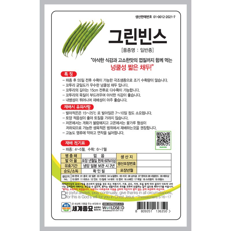 주주씨앗님의 장터 판매 상품 [[세계] 그린빈스 30립 그린빈 씨앗 껍질콩] 첨부 사진