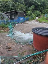 팜모닝 🌦 폭우 피해, 농민 분들 괜찮으신가요? 서로 위로의 말 나눠요 🤝·참여글 게시글 이미지