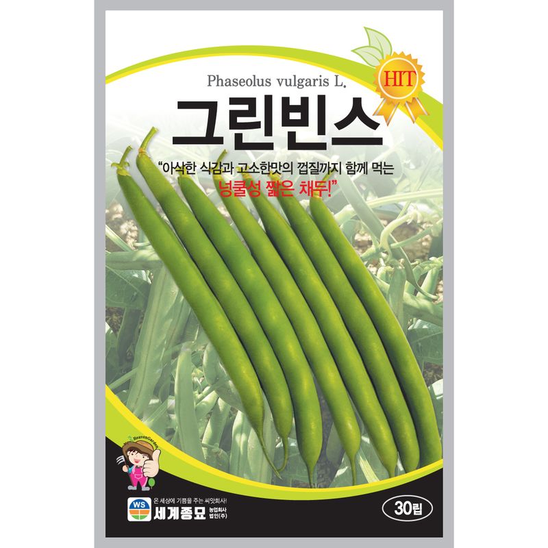 장터 상품 [[세계] 그린빈스 30립 그린빈 씨앗 껍질콩] 썸네일