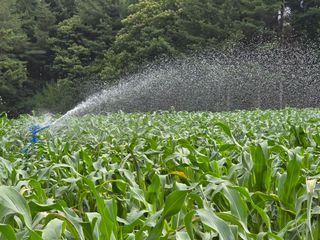 장관덕님의 자유주제 · 자유게시판 작성글 사진
