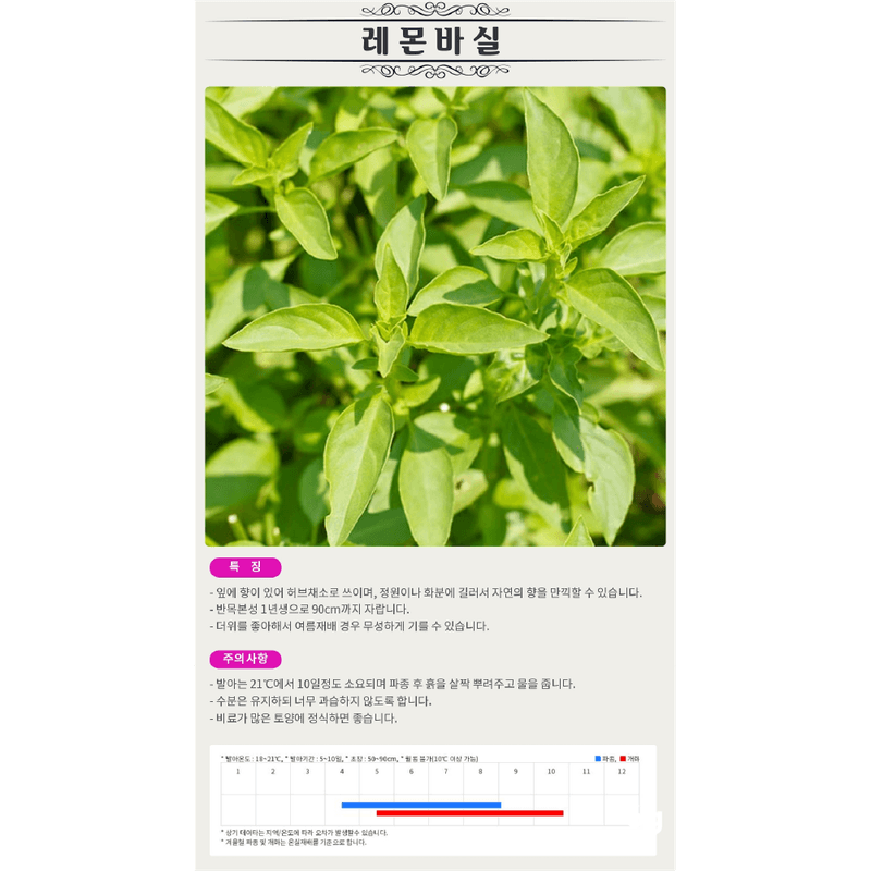 장터 상품 [[사이버가든] 레몬바질 200립 바질 씨앗 허브씨] 썸네일