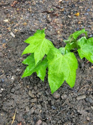 김용대님의 자유주제 · 자유게시판 작성글 사진