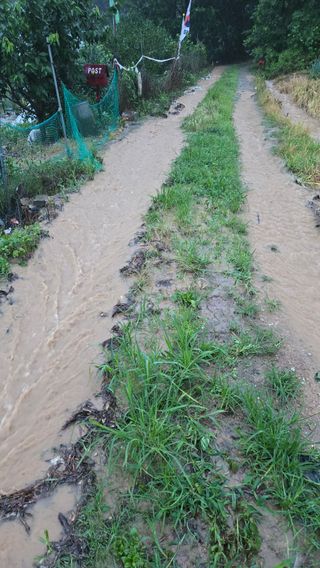 박정희 님의 🌦 폭우 피해, 농민 분들 괜찮으신가요? 서로 위로의 말 나눠요 🤝 · 참여글 작성글 사진