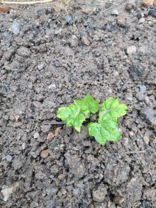 김용대님의 자유주제 · 자유게시판 작성글 사진