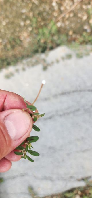 참깨16864님의 자유주제 · 자유게시판 작성글 사진