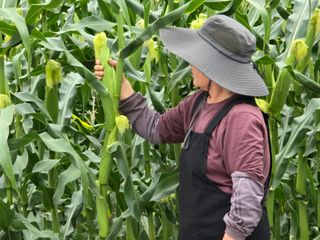 장관덕님의 자유주제 · 자유게시판 작성글 사진