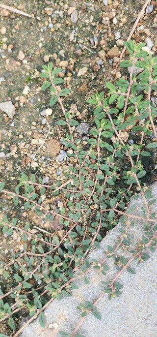 참깨16864님의 자유주제 · 자유게시판 작성글 사진