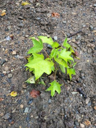 김용대님의 자유주제 · 자유게시판 작성글 사진