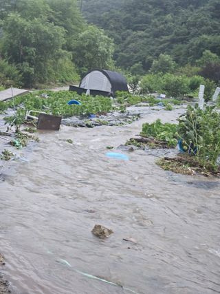 그린님의 🌦 폭우 피해, 농민 분들 괜찮으신가요? 서로 위로의 말 나눠요 🤝 · 참여글 작성글 사진