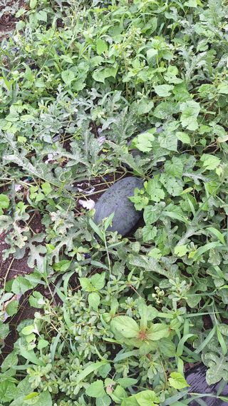 오남현님의 자유주제 · 자유게시판 작성글 사진