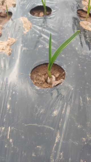 조새힘님의 작성글 사진