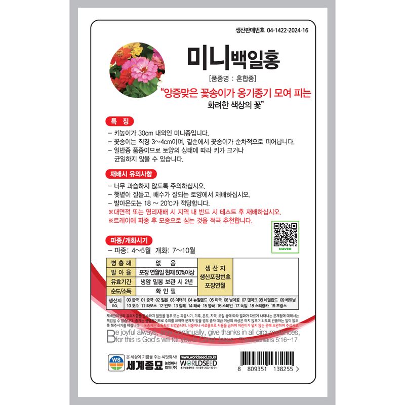 주주씨앗님의 장터 판매 상품 [[세계] 미니백일홍 혼합 50립 백일홍 씨앗 ] 첨부 사진