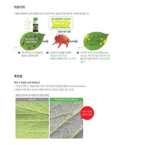 대산농사대장님의 고추 · 비료•농약 작성글 사진