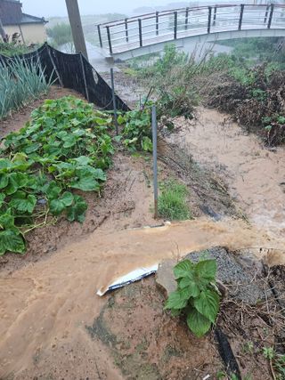 osm님의 자유주제 · 자유게시판 작성글 사진