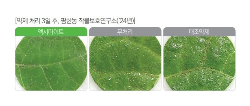 대산농사대장님의 장터 판매 상품 [엑시마이트 500ml 응애 약 방제 유기농업자재] 첨부 사진