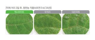 대산농사대장님의 작성글 사진
