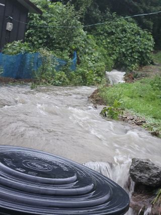 그린님의 🌦 폭우 피해, 농민 분들 괜찮으신가요? 서로 위로의 말 나눠요 🤝 · 참여글 작성글 사진