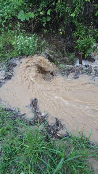 박정희 님의 🌦 폭우 피해, 농민 분들 괜찮으신가요? 서로 위로의 말 나눠요 🤝 · 참여글 작성글 사진