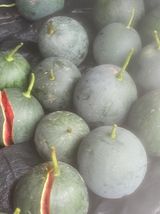 팜모닝 농사, 무엇이든 물어보세요!·참여글 게시글 이미지