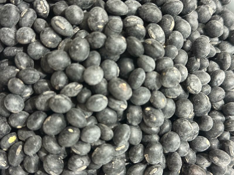 장터 상품 [2025년 햇콩 서리태1kg] 썸네일