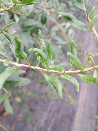 이천순님의 농사, 무엇이든 물어보세요! · 참여글 작성글 사진