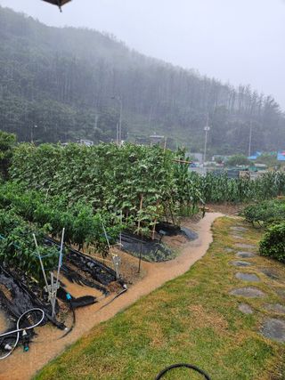 osm님의 자유주제 · 자유게시판 작성글 사진
