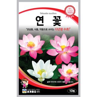 주주씨앗님의 작성글 사진