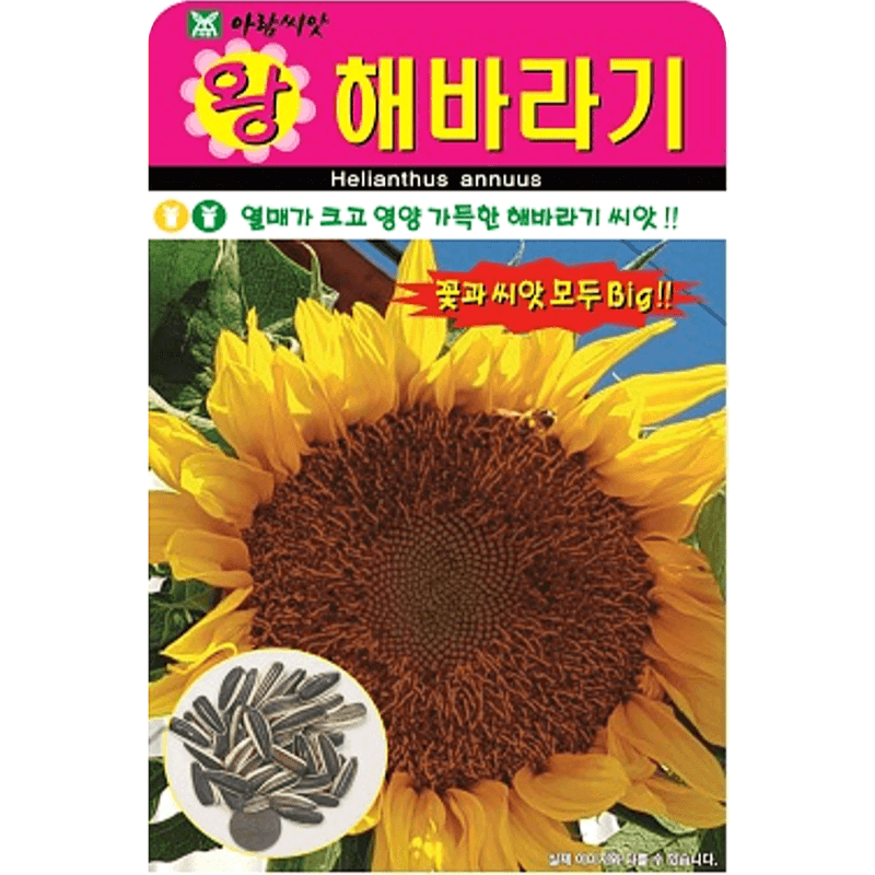 장터 상품 [[아람] 왕해바라기 10립 해바라기 씨앗] 썸네일