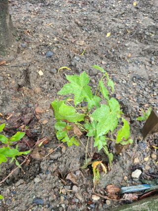 김용대님의 자유주제 · 자유게시판 작성글 사진